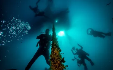 where-to-dive-lisbon-berlengas-archipelago-eurico-roseiro.jpg.webp