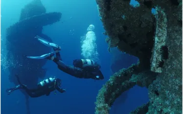 wonder-reef-divers--credit-courtesy-image.png.webp