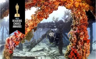 worlds-best-diving-destinations-teaser.png.webp