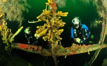 wreck-diving-bianca-c_.jpg.webp