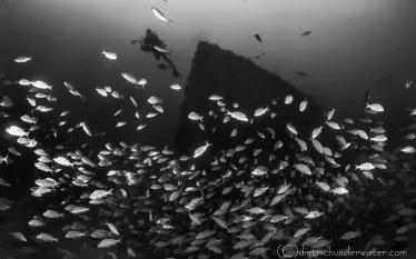 wreck_.jpg.webp