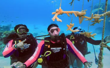 young-divers-coral-nursery.jpg.webp