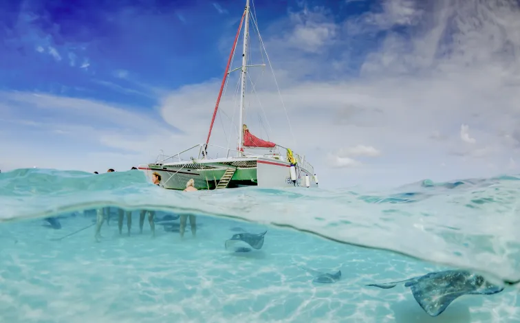 RedSailSports_catamaran-courtesy.jpg.webp