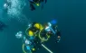 annie_crawley-divers-ascending-_edit.jpg.webp