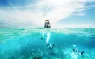 scuba-divers-cozumel-underover-shutterstock-goodfocused.png.webp