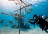 CORAL_IS_CALLING_INKACRESSWELL--_.jpg.webp