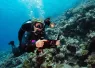 Paterakis_RedSea_Sealife_Ultra_.jpg.webp