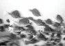 ThomasAnderson_Motion_Blur_Photo_edit   .jpg.webp