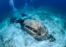 underwatermuseum_ Martin Voeller _shutterstock__edit.jpg.webp