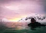 antarctica_at_sunset_steve_boyd.jpg.webp