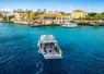 buddy_dive_digital_article_x_image.png.webp