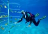 captain_hooks_rca_digital_article_image_x.png.webp