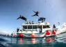 dive_paradise_rca_digital_article_images_x_image.png.webp