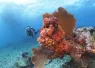 fl_keys_donut_hole_article_images_x_image.png.webp