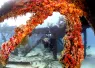 fl_keys_flaglers_barge_article_image_x.png.webp