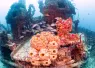 fl_keys_spiegel_grove_article_images_x.png.webp