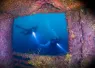 fl_keys_vandenberg_article_images_x_image_.png.webp