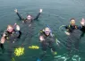 unc_marinequest_article_images_x_image.png.webp